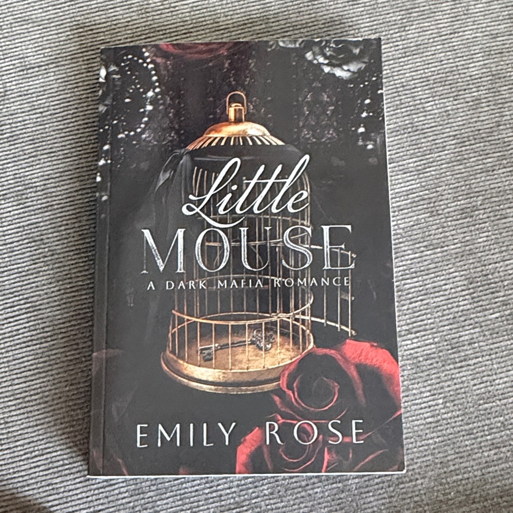 Little Mouse Book by Emily Rose